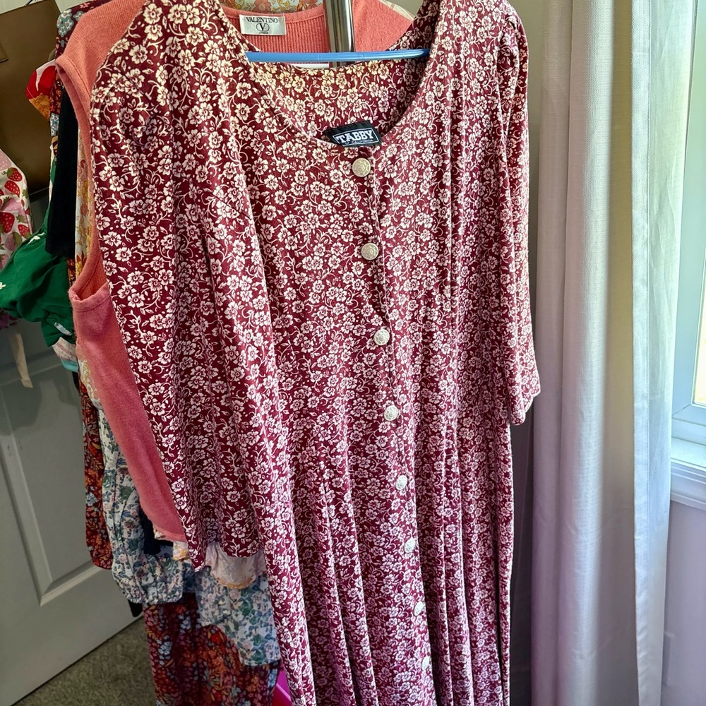 Tabby Red Floral Button-Down Dress